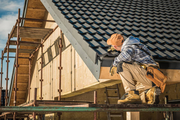 Best Roof Moss and Algae Removal  in Wellington, CO