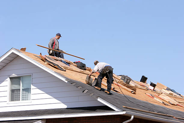 Best Sheet Metal Roofing  in Wellington, CO