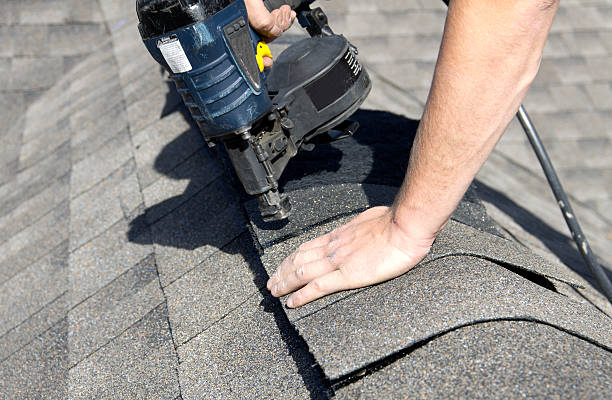 Best Roof Maintenance and Cleaning  in Wellington, CO