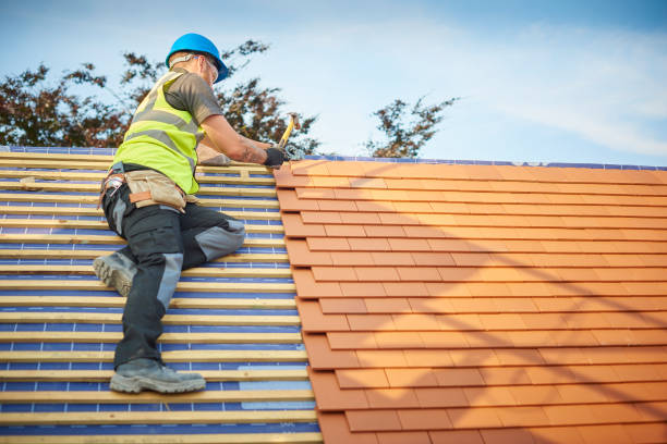 Best Green or Eco-Friendly Roofing Solutions  in Wellington, CO