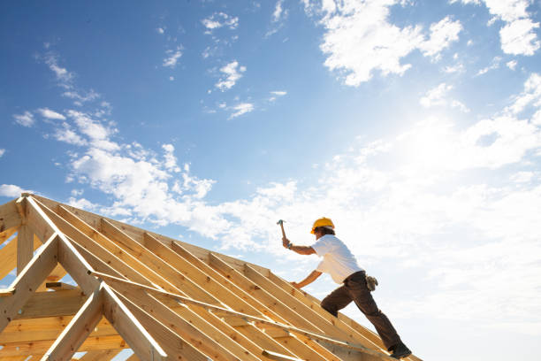 Best Solar Panel Roofing Installation  in Wellington, CO